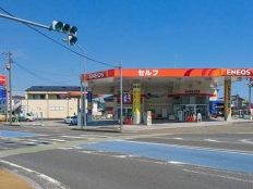 ENEOS 一宮 SS (ヒワサキ)
